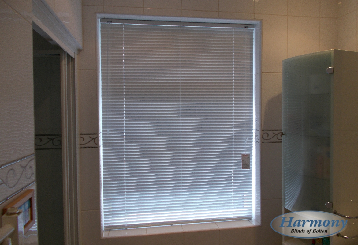 Bathroom Blinds